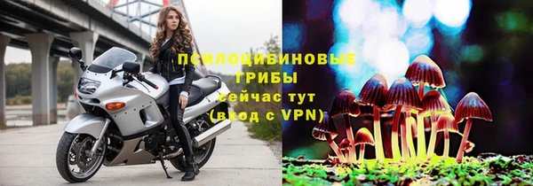 мяу мяу мука Абаза